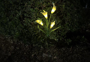 Calla Lilies Solar Outdoor Garden Light