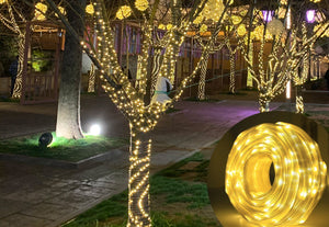 Haven Solar String Lights