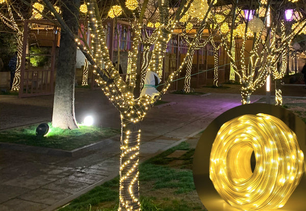 Haven Solar String Lights