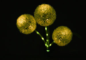 Lycoris Solar Outdoor Garden Light