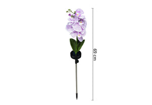 Phalaenopsis Solar Outdoor Garden Light
