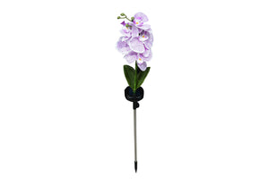 Phalaenopsis Solar Outdoor Garden Light