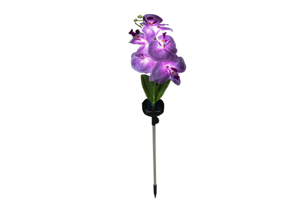 Phalaenopsis Solar Outdoor Garden Light