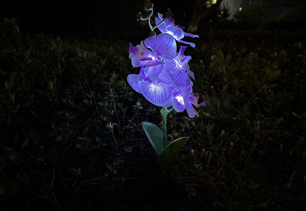 Phalaenopsis Solar Outdoor Garden Light