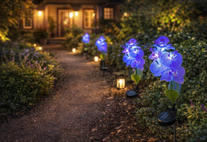 Phalaenopsis Solar Outdoor Garden Light