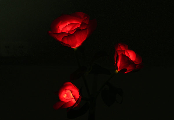 Sweetheart Rose Solar Outdoor Garden Light