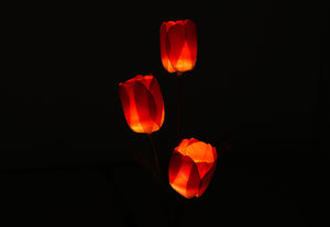 Tulip Solar Outdoor Garden Light