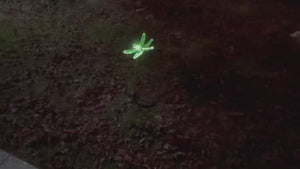 Dragonfly Solar Outdoor Garden Lights (Set of 2)