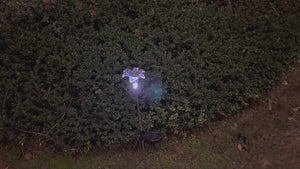Lilly Solar Outdoor Garden Lights (Set of 2)