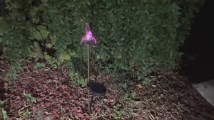Hummingbird Solar Outdoor Garden Lights (Set of 2)