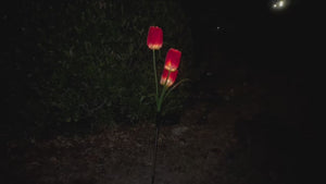Tulip Solar Outdoor Garden Light
